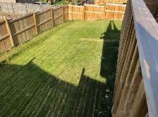 NEWER 3 BEDROOM W/DBL GRG & FCD YD, BEST AREA - Photo 6