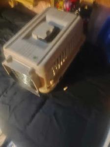 cat carrier
