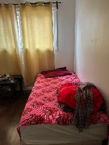 ROOM FOR RENT IN RUNDLE NE - $600
