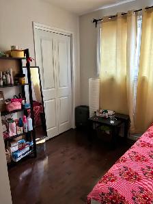 ROOM FOR RENT IN RUNDLE NE - $600 - Photo 2