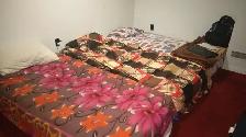 Shared room available for rent near Sheridan College - Brampton - Photo 2