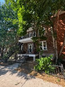 Très grand 4 1/2 de pièces idéal coloc ! Terrasse sur le toit !