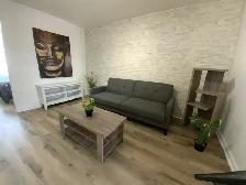 Superbe 3 1/2 avec jardins privatifs! - Photo 7