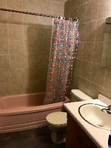 2 Bdrm Apartment in Arcola East - Photo 4