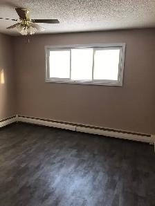 2 Bdrm Apartment in Arcola East - Photo 5