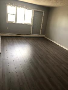 2 Bdrm Apartment in Arcola East - Photo 6