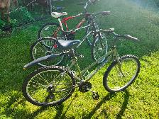 Adult Mountain Bikes For Sale - Photo 3