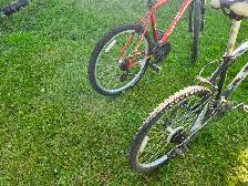 Adult Mountain Bikes For Sale - Photo 10