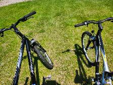 Adult Mountain Bikes For Sale - Photo 8