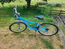 Ladies Mountain Bike For Sale