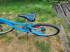 Ladies Mountain Bike For Sale - Photo 8