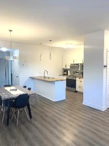 Logement 3 1/2 à louer – Disponible le 1er septembre 2026 - Photo 3
