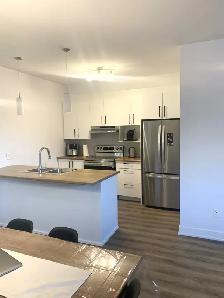 Logement 3 1/2 à louer – Disponible le 1er septembre 2026 - Photo 8