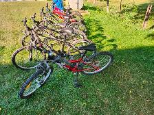 Boys Mountain Bikes For Sale - Photo 3