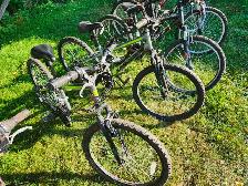 Boys Mountain Bikes For Sale - Photo 5