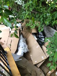 MOVING,DELIVERY,JUNK REMOVAL @$20 - Photo 9