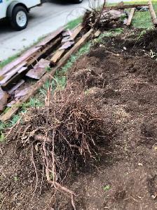MOVING,DELIVERY,JUNK REMOVAL @$20 - Photo 10