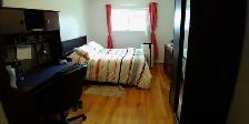 10108 Berri coin Sauriol Ahuntsic - Photo 6