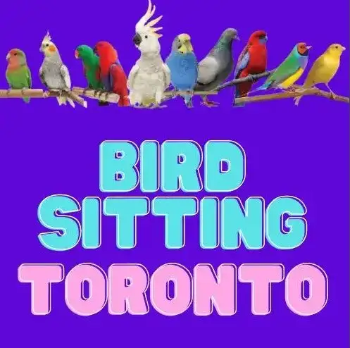 BIRD BOARDING TORONTO! | TEXT 647-490-7156