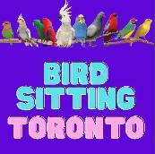 BIRD BOARDING TORONTO! | TEXT 647-490-7156