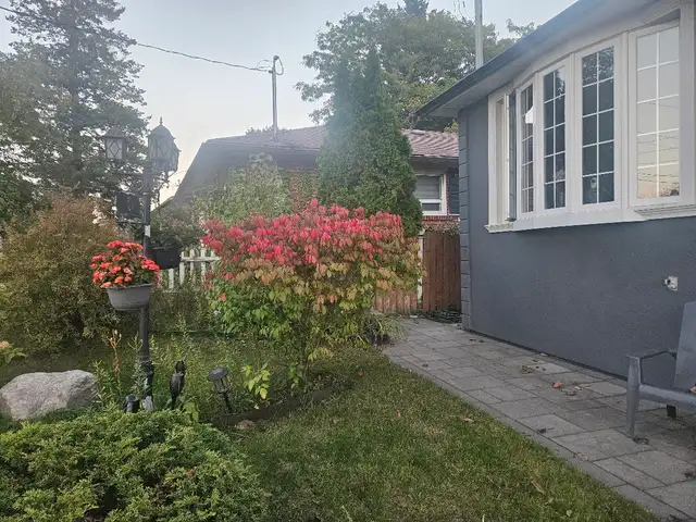 Bungalow house Main floor for Rent ( Mccowan & Lawrence)