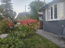 Bungalow house Main floor for Rent ( Mccowan & Lawrence)