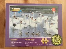 NEUF - Casse-têtes (10 CT), 500 à 1000 pièces (K3) - Photo 5