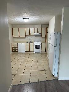 Large Basement Apartment For Rent In Riverview