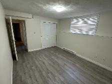 Large Basement Apartment For Rent In Riverview - Photo 3