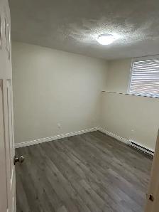 Large Basement Apartment For Rent In Riverview - Photo 4