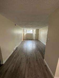 Large Basement Apartment For Rent In Riverview - Photo 5