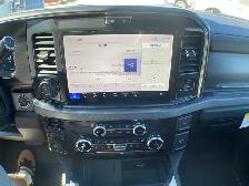 2026 Ford Super Duty F-350 SRW Platinum FX4 713A - Photo 17