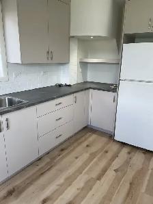 Bright basement apartment. - Photo 2