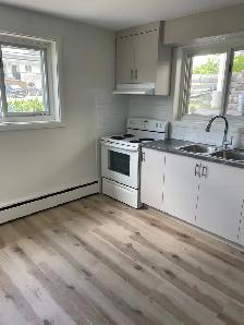 Bright basement apartment. - Photo 3