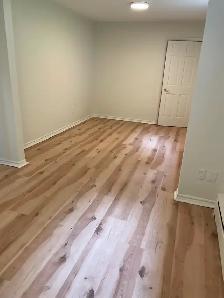 Bright basement apartment. - Photo 8