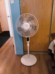 Floor fan