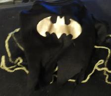 Pet Costumes & Accessories - VARIOUS PRICES - Photo 2