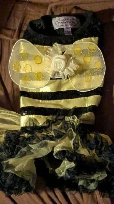 Pet Costumes & Accessories - VARIOUS PRICES - Photo 4