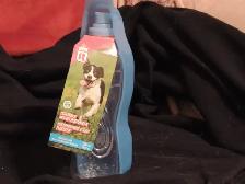 Pet Costumes & Accessories - VARIOUS PRICES - Photo 9