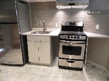 1 Bedroom Basement Apartment at YONGE/STCLAIR - Photo 4