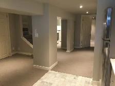 1 Bedroom Basement Apartment at YONGE/STCLAIR - Photo 10