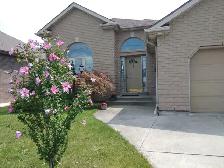 Large room for rent near St.Clair College and move in right now