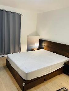 Bright Furnished Rooms | Metro Frontenac | August 1 | From $850 - Photo 8