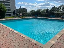 Room for rent in clean condo - Photo 8