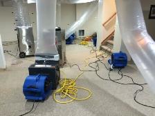 HIRING RESTORATION TECHS ASAP