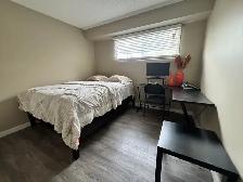 Available immediately Furnished Room for Rent Shawnessy SW - Photo 2