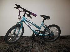 Kids 20' Bikes, 90% new, only $40