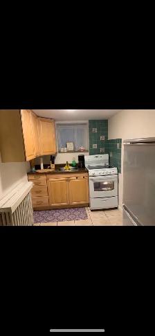 High Park Blvd-Roncesvalles Bright 1 Bdrm Bsmt September 1st - Photo 3
