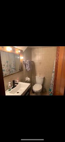 High Park Blvd-Roncesvalles Bright 1 Bdrm Bsmt September 1st - Photo 4