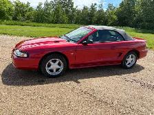 For Sale